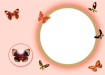 Photo Frame with Butterflies - PNG image with transparent background