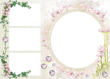 Romantic Photo Frame - PNG image with transparent background