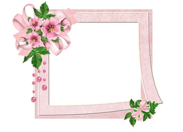 Pink Photo Frame with Flowers - PNG image with transparent background