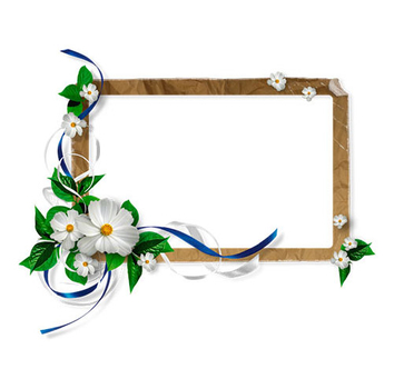 Photo Frame with Flowers - PNG image with transparent background