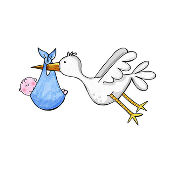 Stork with Baby - PNG image with transparent background