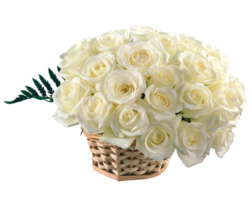 Basket of White Roses - PNG image with transparent background