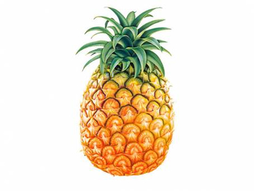 Pineapple - PNG image with transparent background