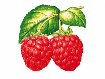 Raspberry - PNG image with transparent background