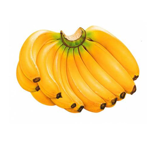 Bananas - PNG image with transparent background