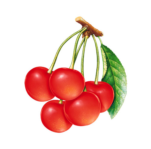 Cherry - PNG image with transparent background